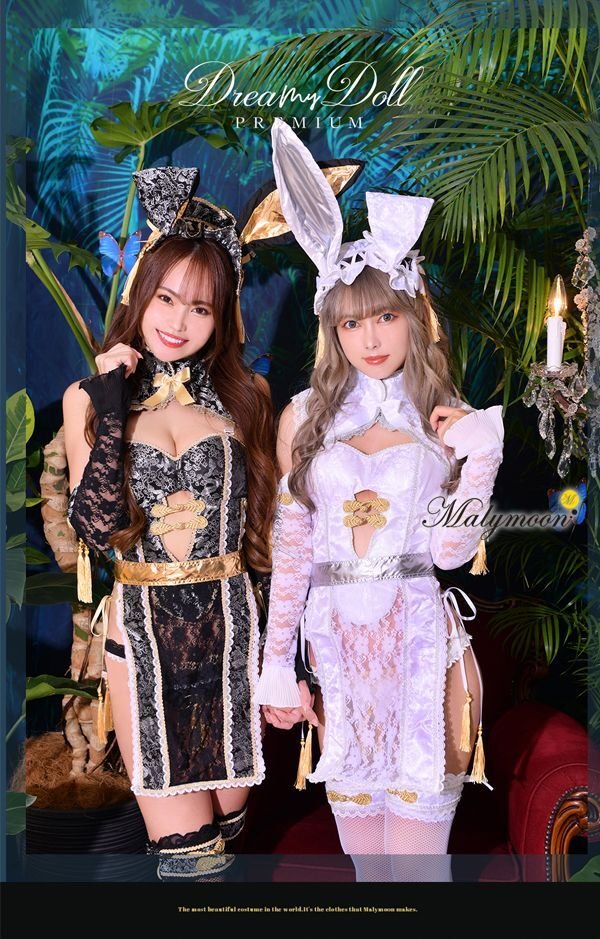 画像4: 【即日発送】チャイナバニーガール《高級コスランジェリー9点セット》【Dreamy Doll Premium/ドリーミードールプレミアム】【フリーサイズ/2カラー】[HC03] (4)