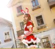 画像5: 【即日発送】【クリスマスコスプレ8点セット】【Malymoon/マリームーン】バニーサンタクロースコスチューム【フリーサイズ/2カラー】[YMT] (5)