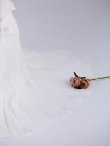 ホワイト モデル：ももか　身長：156cm　着用サイズ：Sサイズ