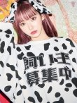 画像7: 【即日発送】【少量再入荷！早い者勝ち！即日発送！】ダルメシアントレーナー/アニマルコスプレ【sugar nineハロウィン2点セット】【Fサイズ/1カラー】【YMT】 (7)
