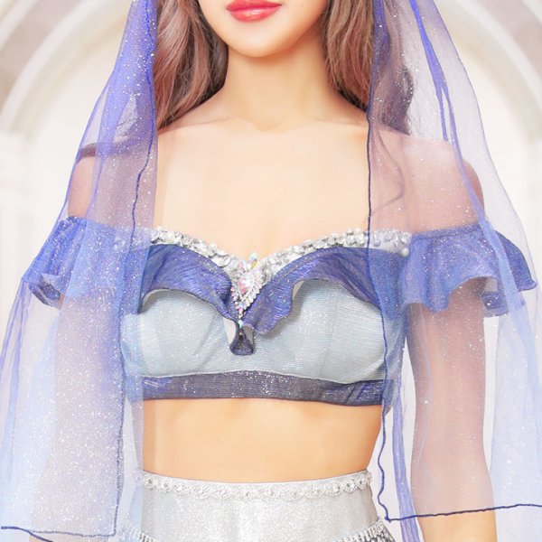 画像8: アラビアンガール/アラジンコスプレセット【ハロウィン4点セット】【S-Mサイズ/2カラー】[HC03] (8)