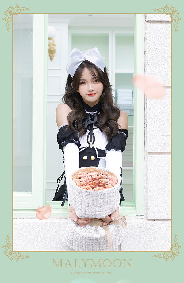 画像9: 【即日発送】プリンセスメイド【マリームーン】【ハロウィンコスプレ8点セット】【フリーサイズ/2カラー】[HC03] (9)