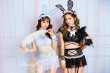 画像7: 【即日発送】セクシーバニーコスプレ《ハロウィンコスプレ10点セット》【Dreamy Doll/ドリーミードール】[HC02] (7)