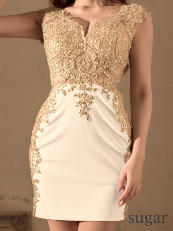 画像5: Lサイズあり【IRMA/イルマ】シアーレース/ ノースリーブ/ タイト/ ミニドレス/ キャバドレス[HC03] (5)