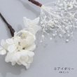 画像4: ドライフラワー【全7種類】【ヘアアクセサリー】[HC02-U] (4)