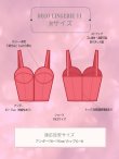 画像18: 【Deco Lingerie/ デコランジェリー】 Deco Lingerie 11/ ランジェリー/ 4点セット[OF05] (18)