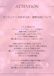 画像19: 【Deco Lingerie/ デコランジェリー】 Deco Lingerie13/ ランジェリー/ 4点セット[OF02C] (19)