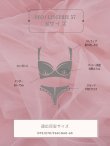 画像25: 【Deco Lingerie/ デコランジェリー】 Deco Lingerie57/ ランジェリー/ 4点セット[OF02C] (25)