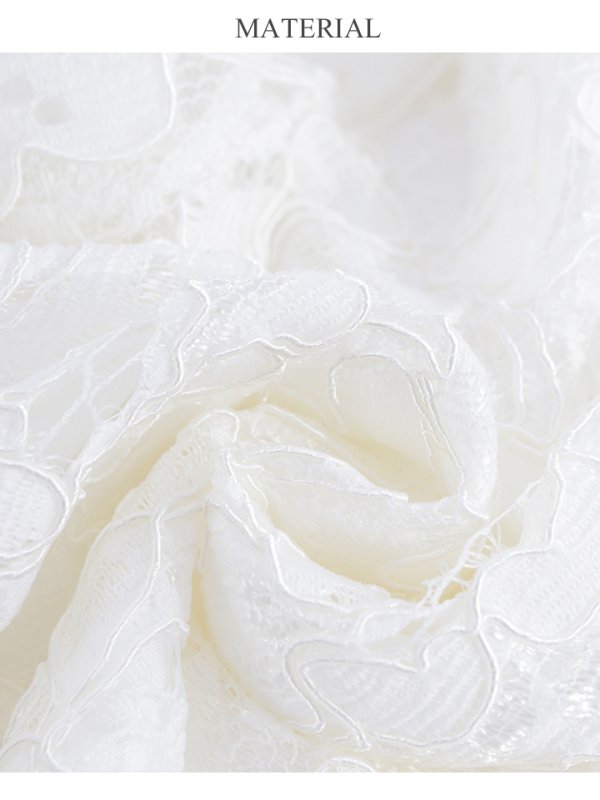 画像24: 【Lip line/リップライン】マーメイド/ アメスリ/ 総レース/ 刺繍レース/ タイト/ ロングドレス/ キャバドレス long[HC03] (24)