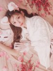 画像12: 【ノベルティ対象】【即日発送！】【ハロウィン】猫巫女レース袴 【コスプレ5点セット】 【FREEサイズ/2カラー】[OF01-OMN] (12)