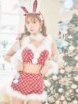 画像4: 即日発送！【サンタコス 8点セット】【S-Mサイズ/1カラー】セットアップツイードバニーサンタコスプレ[YMT] (4)