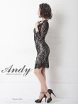 画像21: 【Andy ANDY Fashion Press 11 COLLECTION 01】 フラワーレース / シアー/ 総レース/ 長袖/ 袖あり/ タイト/ キャバドレス[OF05] (21)