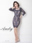 画像3: 【Andy ANDY Fashion Press 11 COLLECTION 01】 フラワーレース / シアー/ 総レース/ 長袖/ 袖あり/ タイト/ キャバドレス[OF05] (3)