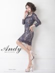 画像4: 【Andy ANDY Fashion Press 11 COLLECTION 01】 フラワーレース / シアー/ 総レース/ 長袖/ 袖あり/ タイト/ キャバドレス[OF05] (4)