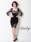 画像19: 【ANDY/アンディ】レース/ 七分袖/ バックリボン/ タイト/ ミニドレス/ キャバドレス[FB03] (19)