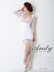 画像3: 【ANDY/アンディ】レース/ 七分袖/ バックリボン/ タイト/ ミニドレス/ キャバドレス[FB03] (3)