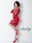 画像16: 【ANDY/アンディ】レース/ 七分袖/ バックリボン/ タイト/ ミニドレス/ キャバドレス[FB03] (16)