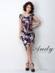 画像10: 【ANDY/アンディ】フラワープリント/ウエストリボン/アシメ/ウエストカット/キャバドレス[FB03] (10)