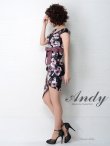 画像11: 【ANDY/アンディ】フラワープリント/ウエストリボン/アシメ/ウエストカット/キャバドレス[FB03] (11)