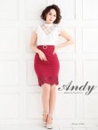 画像3: Andy ANDY Fashion Press 04 COLLECTION 07【ANDY/アンディ】レース/ ハイウエスト切替/ ショートスリーブ/ タイト/ ミニドレス/ キャバドレス[OF05] (3)