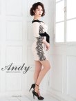 画像15: 【ANDY/アンディ】七分袖/ フラワーレース/ バイカラー/ タイト/ ミニドレス/ キャバドレス[OF05] (15)