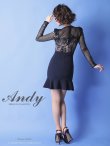 画像4: 【Andy ANDY Fashion Press 07 COLLECTION 02】シアー/ フリルデザイン/ 長袖/ロングスリーブ/ タイト/ ミニドレス/ キャバドレス[OF05] (4)