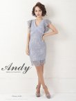 画像14: 【ANDY/アンディ】総レース/ リボンベルトデザイン/ フラワー刺繍/ Vネック/ タイト/ ワンピース/ キャバドレス[FB03] (14)