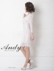 画像3: 【Andy ANDY Fashion Press 11 COLLECTION 01】 フラワーレース / シアー/ 総レース/ 長袖/ 袖あり/ タイト/ キャバドレス[OF05] (3)