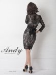 画像13: 【ANDY/アンディ】総レース/ 袖あり/ 長袖/ バックリボン/ タイト/ ミニドレス / キャバドレス[OF05] (13)