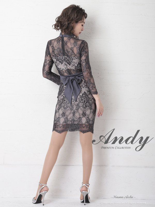 画像12: 【ANDY/アンディ】総レース/ 袖あり/ 長袖/ バックリボン/ タイト/ ミニドレス / キャバドレス[OF05] (12)