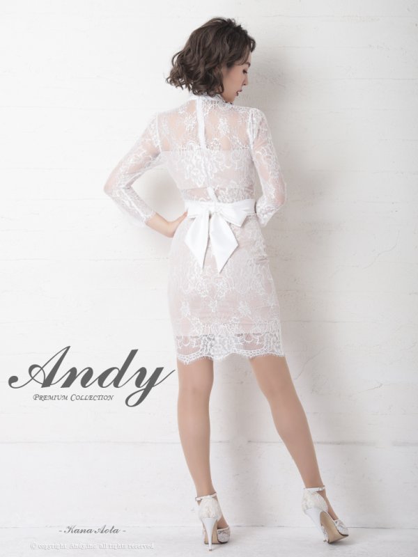画像3: 【ANDY/アンディ】総レース/ 袖あり/ 長袖/ バックリボン/ タイト/ ミニドレス / キャバドレス[OF05] (3)