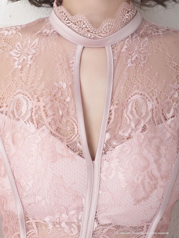 画像32: 【ANDY/アンディ】総レース/ 袖あり/ 長袖/ バックリボン/ タイト/ ミニドレス / キャバドレス[OF05] (32)