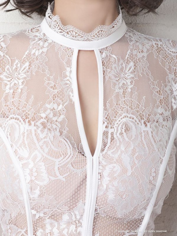 画像5: 【ANDY/アンディ】総レース/ 袖あり/ 長袖/ バックリボン/ タイト/ ミニドレス / キャバドレス[OF05] (5)