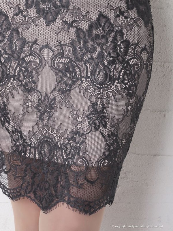 画像17: 【ANDY/アンディ】総レース/ 袖あり/ 長袖/ バックリボン/ タイト/ ミニドレス / キャバドレス[OF05] (17)