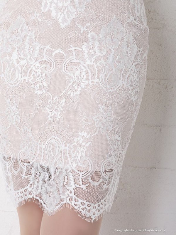 画像8: 【ANDY/アンディ】総レース/ 袖あり/ 長袖/ バックリボン/ タイト/ ミニドレス / キャバドレス[OF05] (8)