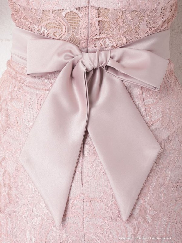 画像34: 【ANDY/アンディ】総レース/ 袖あり/ 長袖/ バックリボン/ タイト/ ミニドレス / キャバドレス[OF05] (34)