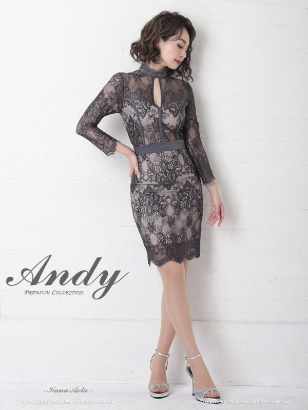 画像10: 【ANDY/アンディ】総レース/ 袖あり/ 長袖/ バックリボン/ タイト/ ミニドレス / キャバドレス[OF05] (10)