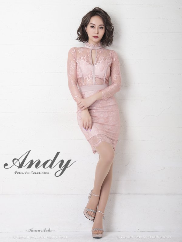 画像28: 【ANDY/アンディ】総レース/ 袖あり/ 長袖/ バックリボン/ タイト/ ミニドレス / キャバドレス[OF05] (28)