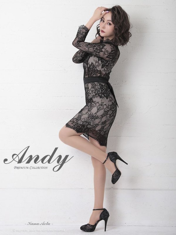 画像20: 【ANDY/アンディ】総レース/ 袖あり/ 長袖/ バックリボン/ タイト/ ミニドレス / キャバドレス[OF05] (20)