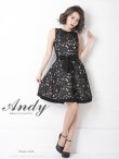 画像10: 【Andy ANDY Fashion Press 11 COLLECTION 04】フラワーレース/ ウエストリボン/ ノースリーブ/ ラインデザイン/ フレア/ ミニドレス/ キャバドレス[OF05] (10)