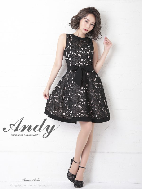 画像17: 【Andy ANDY Fashion Press 11 COLLECTION 04】フラワーレース/ ウエストリボン/ ノースリーブ/ ラインデザイン/ フレア/ ミニドレス/ キャバドレス[OF05] (17)