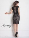 画像25: 【ANDY/アンディ】ドットレース/ レース/ ノースリーブ/ タイト/ ミニドレス/ キャバドレス[FB03] (25)