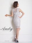 画像4: 【ANDY/アンディ】ドットレース/ レース/ ノースリーブ/ タイト/ ミニドレス/ キャバドレス[FB03] (4)