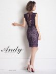 画像18: 【ANDY/アンディ】ドットレース/ レース/ ノースリーブ/ タイト/ ミニドレス/ キャバドレス[FB03] (18)