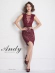 画像9: 【ANDY/アンディ】ドットレース/ レース/ ノースリーブ/ タイト/ ミニドレス/ キャバドレス[FB03] (9)