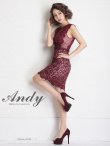 画像10: 【ANDY/アンディ】ドットレース/ レース/ ノースリーブ/ タイト/ ミニドレス/ キャバドレス[FB03] (10)