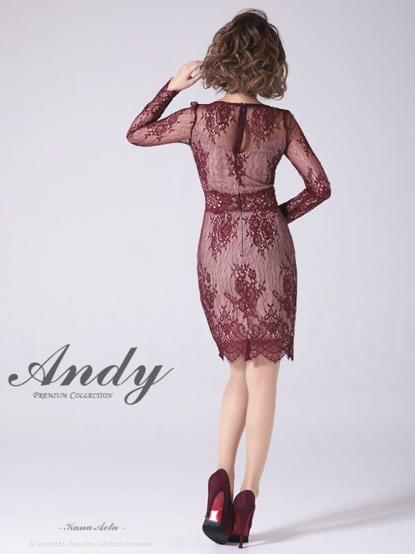 画像11: 【ANDY/アンディ】総レース/ バストクロスデザイン/ 長袖/ 袖あり/ タイト/ ミニドレス/ キャバドレス[OF05] (11)