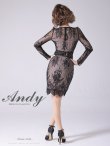 画像21: 【ANDY/アンディ】総レース/ バストクロスデザイン/ 長袖/ 袖あり/ タイト/ ミニドレス/ キャバドレス[OF05] (21)