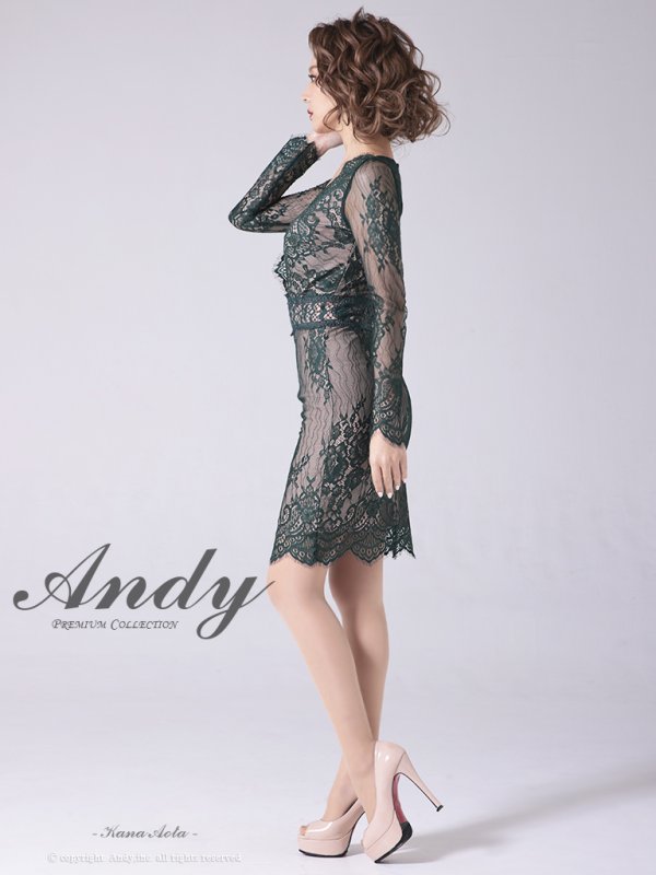 画像28: 【ANDY/アンディ】総レース/ バストクロスデザイン/ 長袖/ 袖あり/ タイト/ ミニドレス/ キャバドレス[OF05] (28)