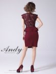 画像4: 【Andy ANDY Fashion Press 13 COLLECTION 02】レース切り替え/ ペプラム/ ノースリーブ/ タイト/ ミニドレス/ キャバドレス[OF05] (4)